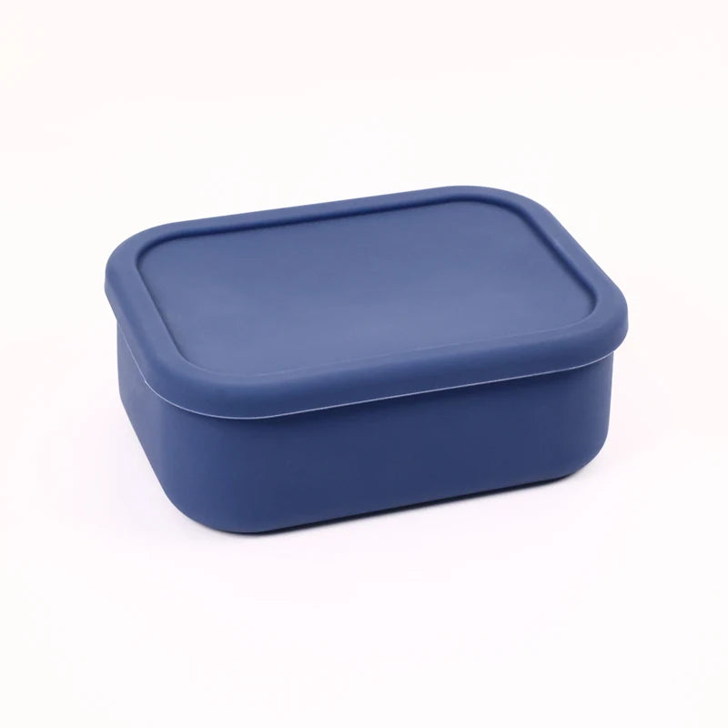 Bento Food Storage